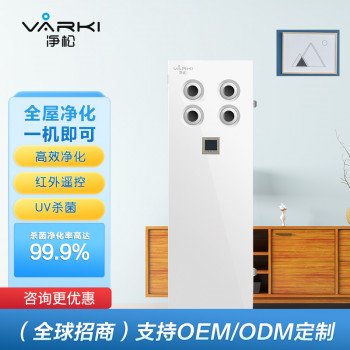 凈松廠家直銷室內商用雙向流中央凈化器靜音過濾立柜式 新風系統